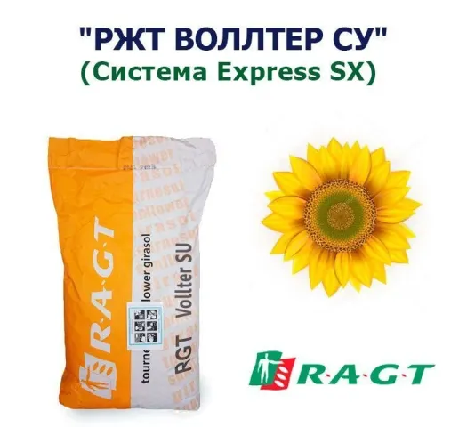 Seed bag of RGT Vollter SU sunflower
