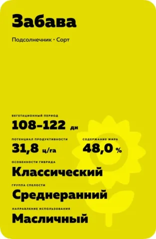 Information card of the Zabava sunflower variety with characteristics.