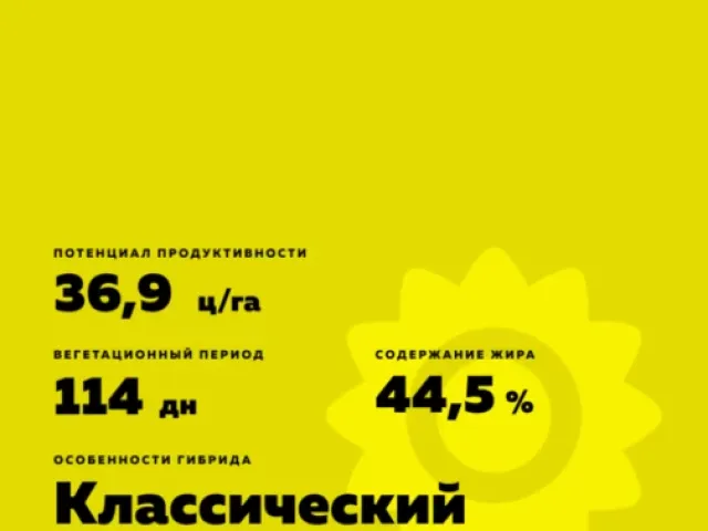 Зеппелин