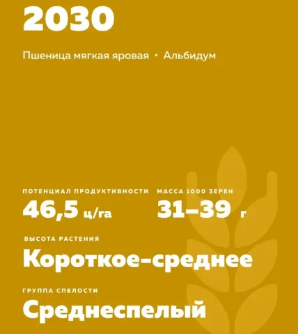 Пшениця м'яка ярова Альбідум 29 з потенційною продуктивністю 46,5 ц/га
