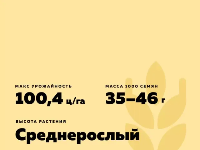 Альмера