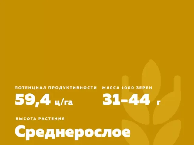 Апасовка