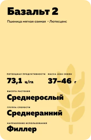 Мішок насіння пшениці сорту Базальт 2