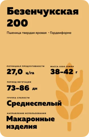 Пакет семян пшеницы Безенчукская 200
