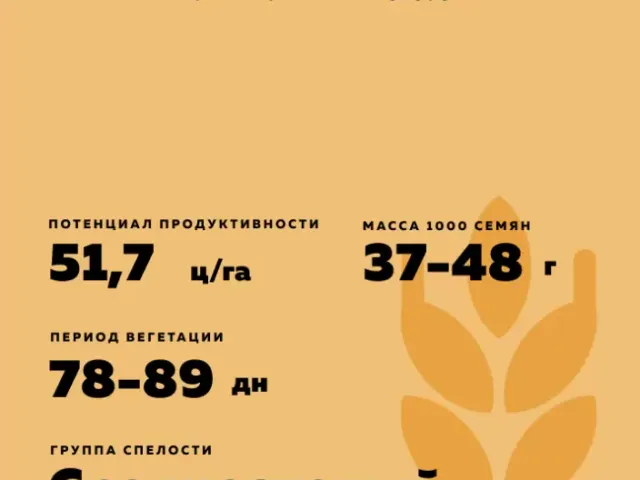 Безенчукская Крепость