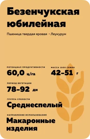 Пакет насіння пшениці Безенчукська ювілейна