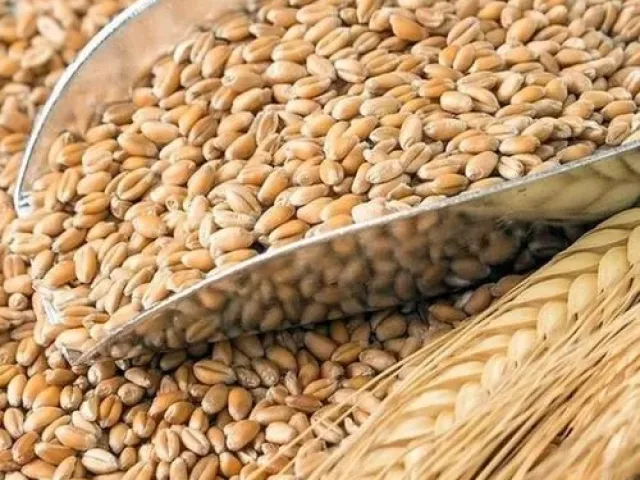 Букурія