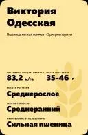 Пакет семян пшеницы Виктория Одесская - ЧЕРНОЗЕМКА 115