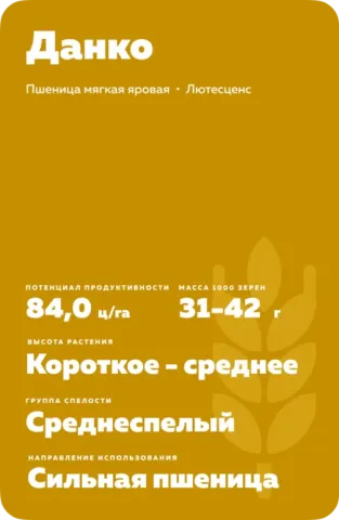 Пакет насіння пшениці Данко з характеристиками сорту