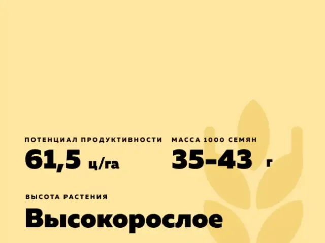 Дарина