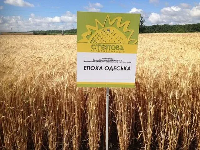 Епоха Одеська