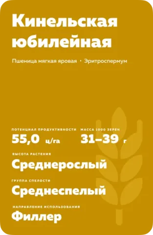 Пакет насіння пшениці Кінельська Ювілейна - КИНЕЛЬСЬКА 60