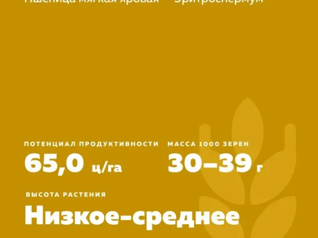 Кінельська Втіха