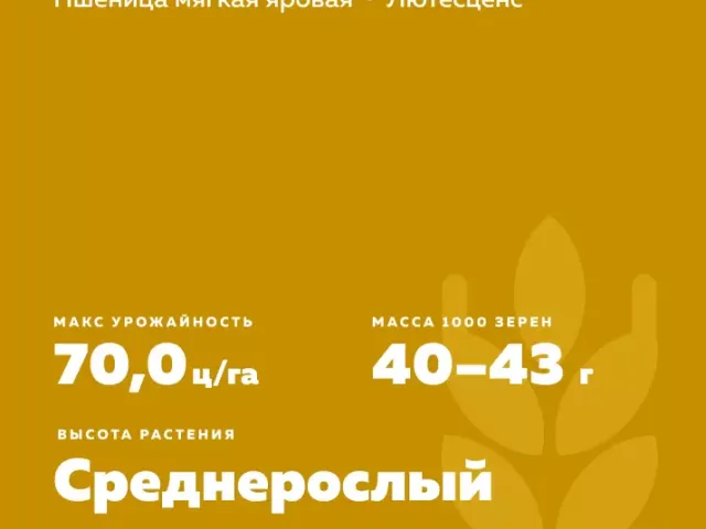 КРАСНОУФИМСКАЯ 100