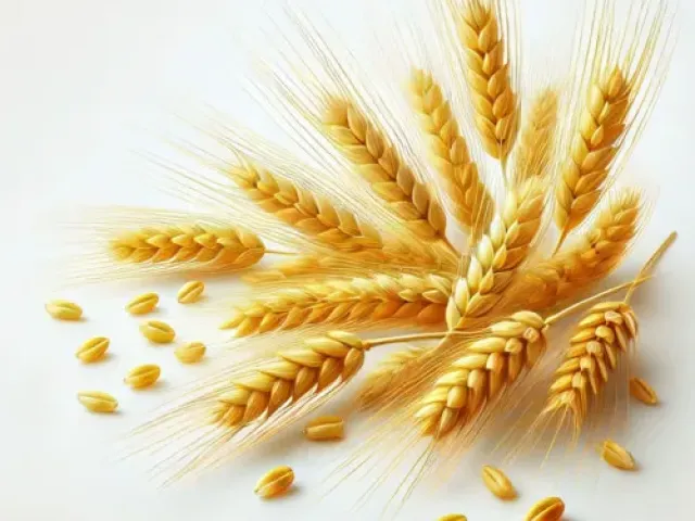 Лісова пісня