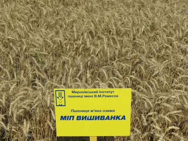МИП Веснянка