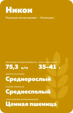 Пакет семян пшеницы НИКОН