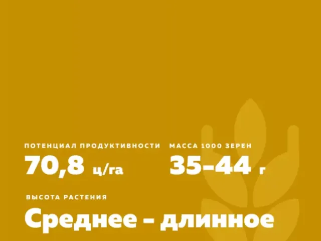 НИВА 55