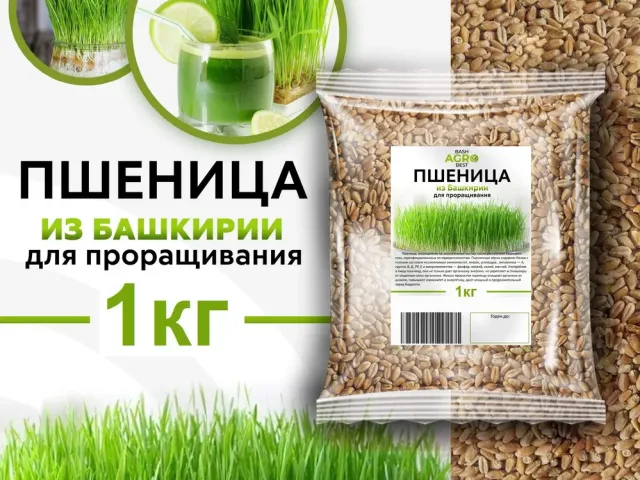 Олеся