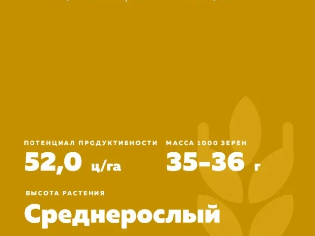 ПАМ'ЯТІ АЗІЄВА