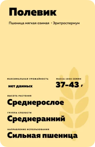 Пакет семян пшеницы Полевик