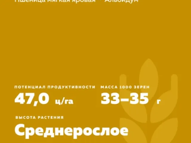 САРАТОВСЬКА 42