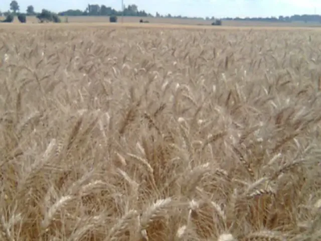 Generous Yield