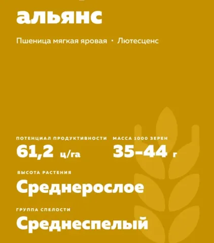 Пакет семян пшеницы сорта Альянс - СИБИРСКИЙ АЛЬЯНС