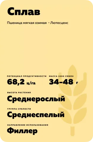 Пакет семян пшеницы сорта СПЛАВ