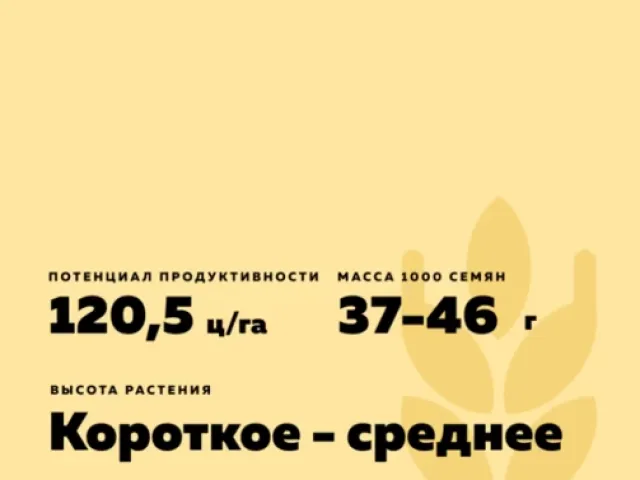 Статус