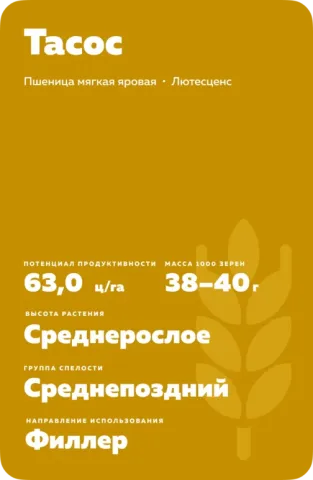 Пакет семян пшеницы Тасос - Тазос