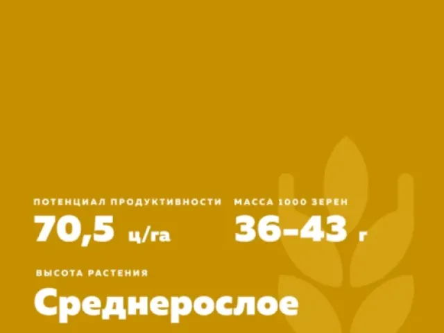 ТЮМЕНСКАЯ 29