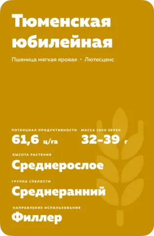 Wheat seed bag labeled «Tyumenskaya Yubileynaya»