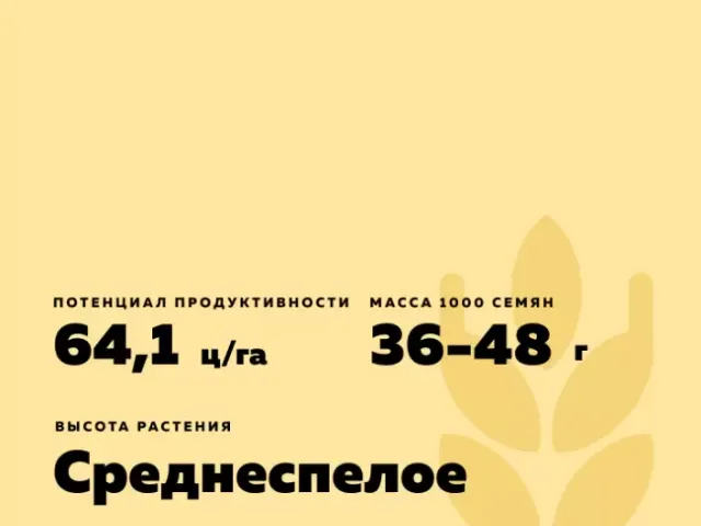 Волжская К