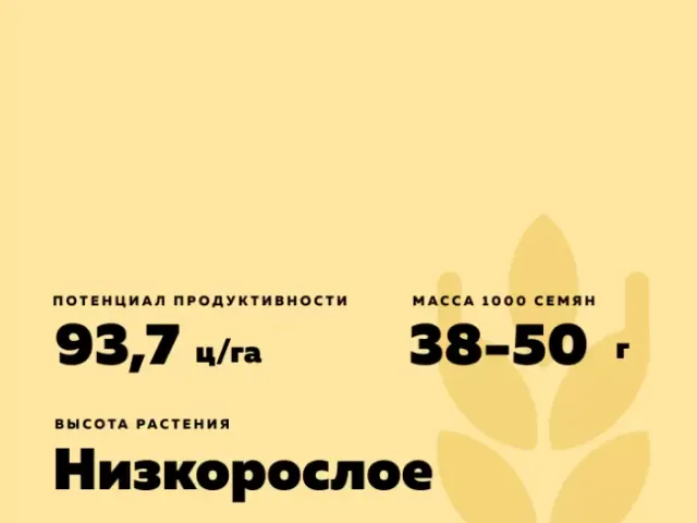 Зарниця