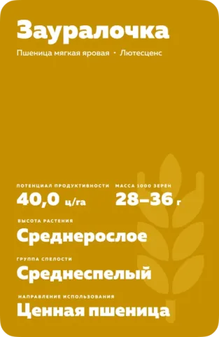 Wheat seed bag Zaurolochka - ZAURALOCHKA