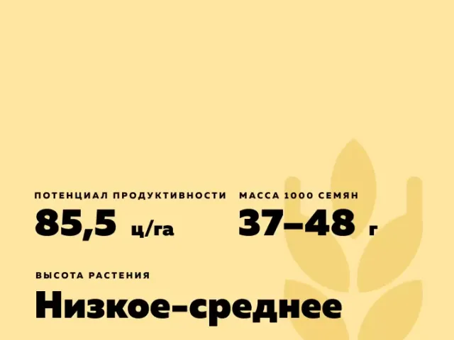 Зимница