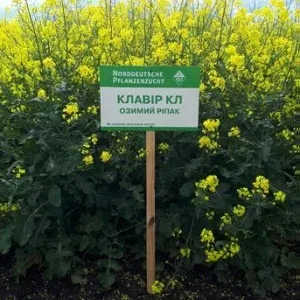 Знак з написом КЛАВІР КЛ на фоні рапу