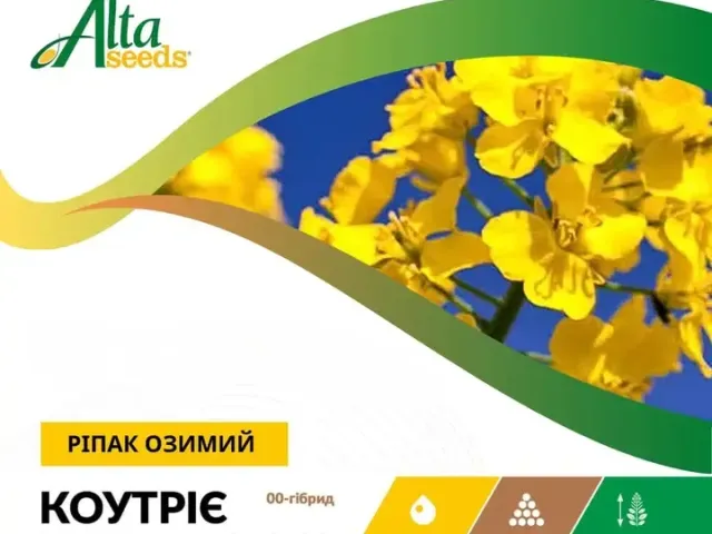 Коутрие