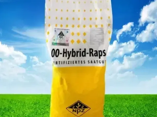 Хидалго