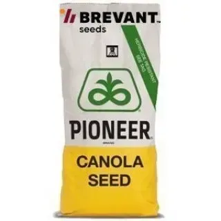 Пакет насіння рапсу Pioneer - ПТ200ЦЛ
