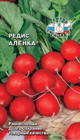 Семена редиса Аленка на фоне свежих корнеплодов