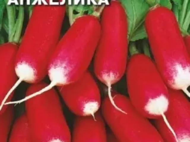 Анжеліка