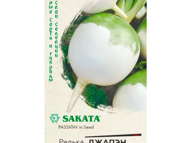 Джапен БОЛ Рабу