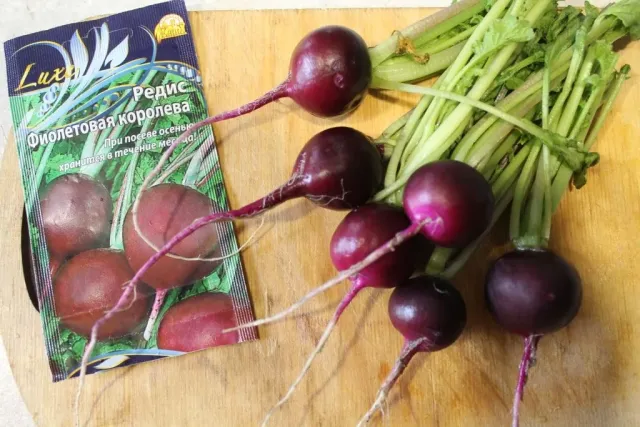 Seed packet of radish Violet Queen