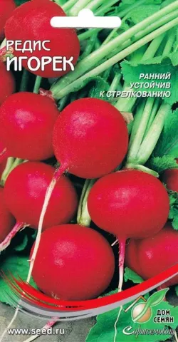 Seed packet of radish IGOREK with image of fresh red root vegetables