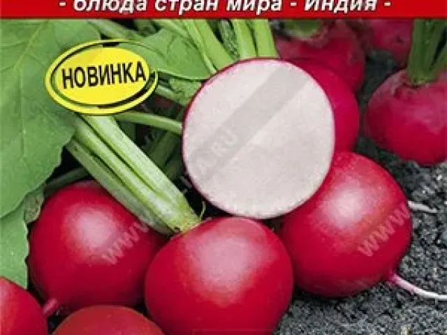 Красная Шапочка