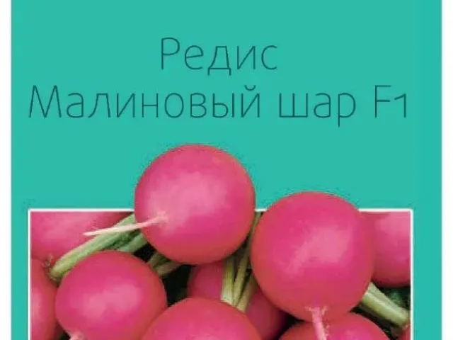 RASPBERRY BALL