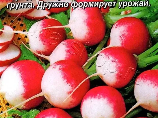 Мульти-Пульті