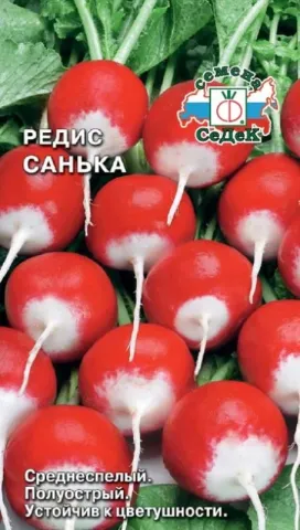 Насіння редиски САНЬКА на фоні зелені